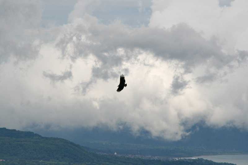 Mexico & Guatemala 2010 - 0664